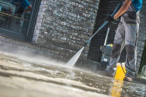 Best Driveway Pressure Washing  in Cortland, IL